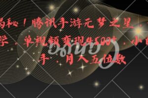 全网揭秘！腾讯手游元梦之星，十分钟顶尖教学，单视频变现4500+【揭秘】-麦资源网