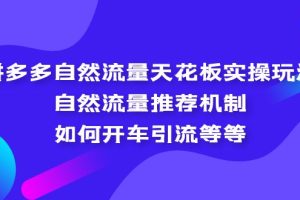 （5327期）拼多多自然流量天花板实操玩法：自然流量推荐机制，如何开车引流等等-麦资源网