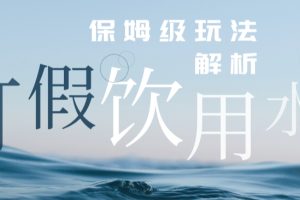 打假维权饮用水赔付玩法，一单收益上千【详细视频玩法教程】【仅揭秘】-麦资源网