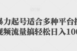 扩列暴力起号适合多种平台操作原创视频流量搞轻松日入1000+【揭秘】-麦资源网
