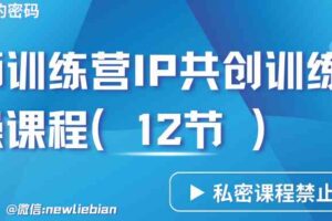 导师训练营3.0IP共创训练营私密实操课程（12节）-卖项目的密码成功秘诀-麦资源网
