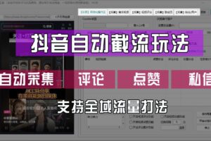 抖音自动截流玩法，利用一个软件自动采集、评论、点赞、私信，全域引流-麦资源网