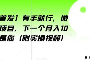 【全网首发】有手就行，微信爆粉项目，下一个月入10万的就是你（附实操视频）【揭秘】-麦资源网