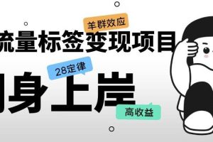 抖音流量标签变现项目，抖音创业粉轻松转化，单价高收益简单-麦资源网