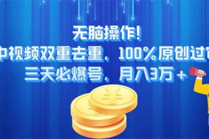 (11353期)无脑操作!中视频双重去重,100%原创过审,三天必爆号,月入3万+-麦资源网