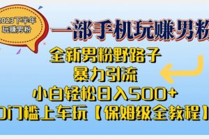 2023全新男粉野路子暴力引流，小白轻松日入500+，全新野路子玩法，0门槛上车玩【保姆级全教程】-麦资源网