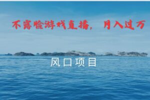 不露脸不出镜，玩转找茬游戏，普通人实现月入过万的好项目-麦资源网