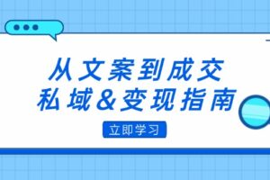 （12641期）从文案到成交，私域&变现指南：朋友圈策略+文案撰写+粉丝运营实操-麦资源网