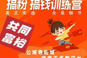 曲博夫搞粉搞钱.训续营，做“私域”光宗耀祖！但是你不是得先有粉丝吗？真正实战，全是细节-麦资源网