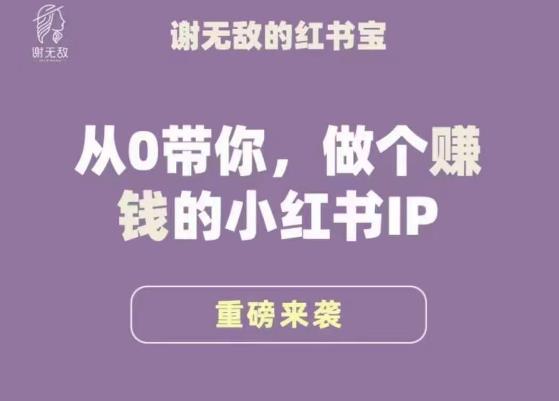 谢*·小红书运营大宝典，从0带你做个赚钱的小红书IP