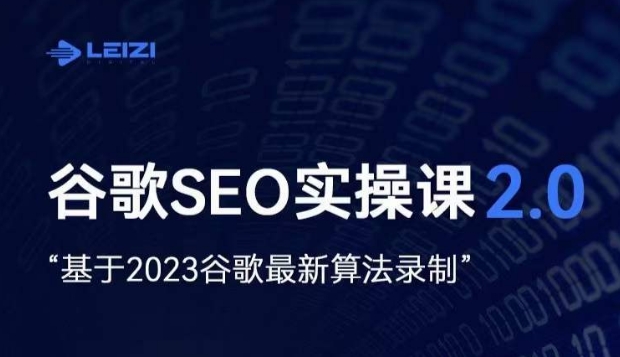 雷子·谷歌SEO 2.0实战课，*站询盘自由*，基于2023谷歌*算法录制