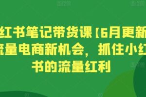 小红书笔记带货课【6月更新】流量电商新机会，抓住小红书的流量红利-麦资源网