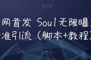 全网首发 Soul无限曝光精准引流（脚本+教程）-麦资源网