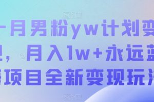 十月男粉yw计划变现，月入1w+永远蓝海项目全新变现玩法【揭秘】-麦资源网