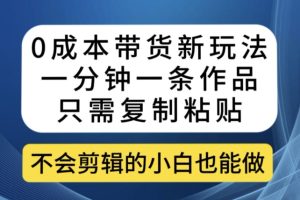 0成本带货新玩法，一分钟一条作品，只需复制粘贴就可以做-麦资源网