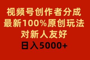 （9477期）视频号创作者分成，最新100%原创玩法，对新人友好，日入5000+-麦资源网
