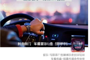 （5770期）车载u盘暴力私域玩法，一部手机实现日入300+-麦资源网