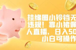 挂缘圈小铃铛无版权违规！靠小猪佩奇无人直播，日入500+，小白可操作【揭秘】-麦资源网