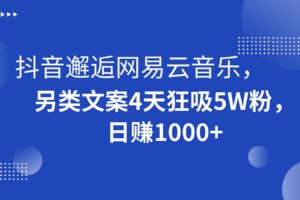抖音邂逅网易云音乐，另类文案4天狂吸5W粉，日赚1000+-麦资源网