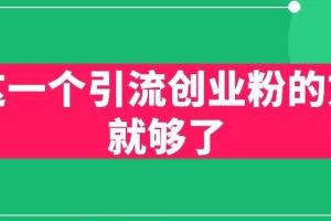 用这一个引流创业粉的方法就够了，PPT短视频引流创业粉【揭秘】-麦资源网