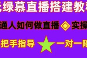 （4889期）普通人怎样做抖音，新手快速入局 详细攻略，无绿幕直播间搭建 快速成交变现-麦资源网