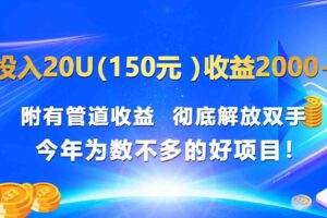 投入20u（150元 ）收益2000+ 附有管道收益  彻底解放双手  今年为数不多的好项目！-麦资源网