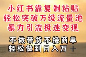 （11139期）深层揭秘小红书，靠复制粘贴，一周突破万级流量池，无脑搬运，暴力引流…-麦资源网