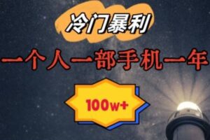暴利冷门赛道，一单268，一个人一部手机一年100w【揭秘】-麦资源网