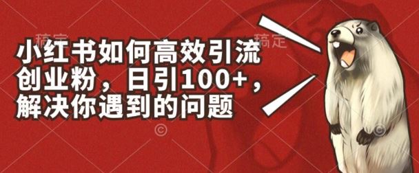 小红书如何*引流创业粉，日引100+，解决你遇到的问题【揭秘】