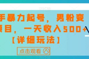 快手暴力起号，男粉变现项目，一天收入500+【详细玩法】【揭秘】-麦资源网