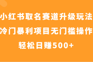 小红书取名赛道升级玩法，冷门暴利项目无门槛操作，轻松日赚500+-麦资源网