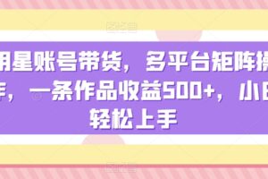 明星账号带货，多平台矩阵操作，一条作品收益500+，小白轻松上手【揭秘】-麦资源网
