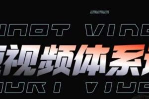 短视频完整知识体系课，一次性搞懂短视频，运营手法、内容制作、投放技巧项目玩法-麦资源网