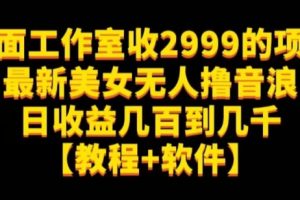外面工作室收2999的项目最新美女无人撸音浪日收益几百到几千【教程+软件】（仅揭秘）-麦资源网
