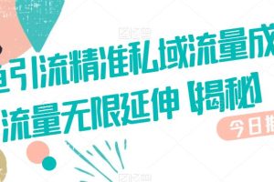 咸鱼引流精准私域流量成交流量无限延伸【揭秘】-麦资源网