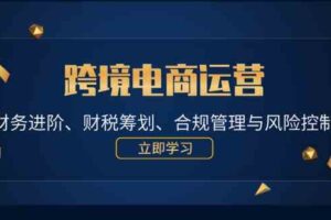 跨境电商运营：财务进阶、财税筹划、合规管理与风险控制-麦资源网