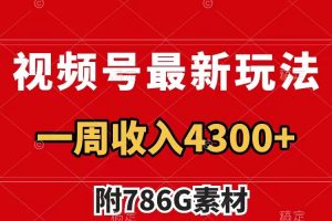 （7969期）视频号最新玩法 广告收益翻倍 几分钟一个作品 一周变现4300+（附786G素材）-麦资源网
