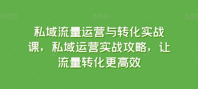私域流量运营与转化实战课，私域运营实战攻略，让流量转化更*