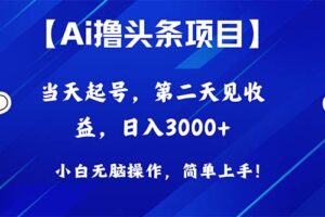 （10334期）Ai撸头条，当天起号，第二天见收益，日入3000+-麦资源网