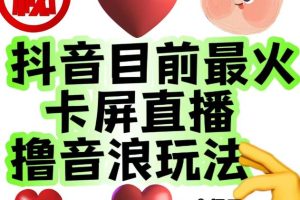 外面收费1980的抖音卡屏直播玩法，一个抖音号可以撸几百到几千不等【详细玩法教程】-麦资源网