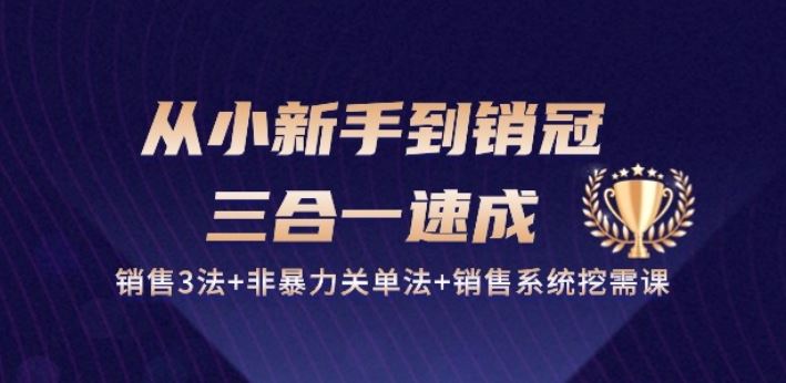 从小新手到销冠 三合一速成：销售3法+非*关单法+销售系统挖需课 (27节)