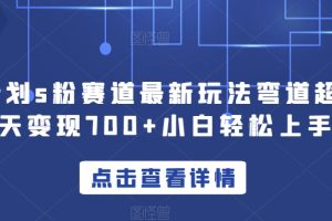 yw计划s粉赛道最新玩法弯道超车单天变现700+小白轻松上手-麦资源网