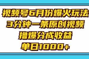 （11298期）视频号6月份爆火玩法，3分钟一条原创视频，撸爆分成收益，单日1000+-麦资源网