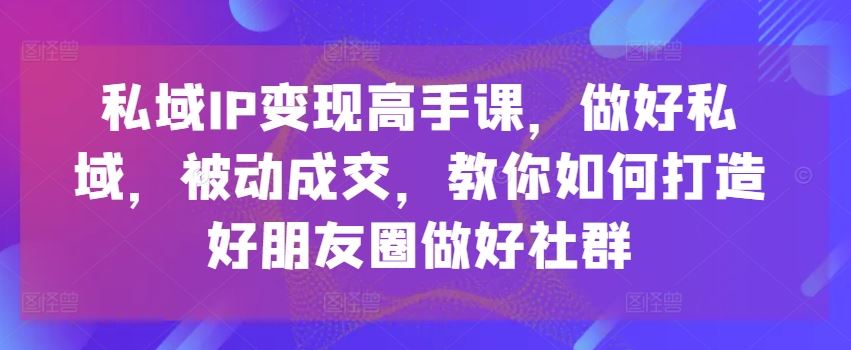私域IP变现高手课，做好私域，被动*，教你如何打造好朋友圈做好社群