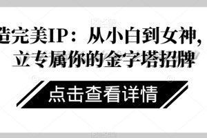 打造完美IP：从小白到女神，建立专属你的金字塔招牌-麦资源网
