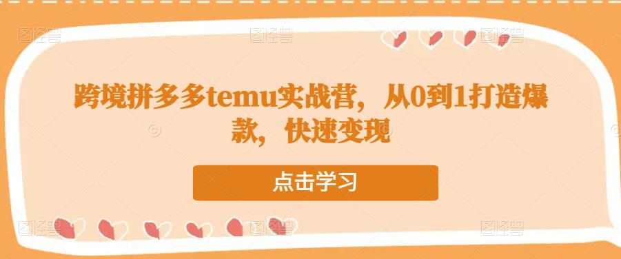 跨境拼多多temu实战营，从0到1打造*，快速变现