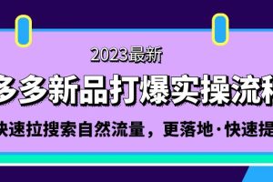 （5036期）拼多多-新品打爆实操流程：轻松快速拉搜索自然流量，更落地·快速提升!-麦资源网