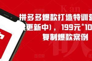 拼多多爆款打造特训营(持续更新中),199元*100套可复制爆款案例-麦资源网
