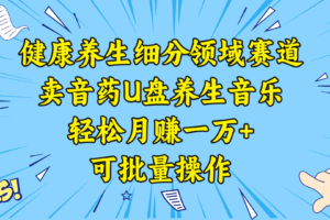 （8503期）健康养生细分领域赛道，卖音药U盘养生音乐，轻松月赚一万+，可批量操作-麦资源网