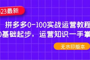 （4835期）2023拼多多0-100实战运营教程，0基础起步，运营知识一手掌握（无水印）-麦资源网
